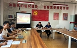 電子信息工程系黨總支開(kāi)展“重溫入黨誓詞，牢記入黨初心”主題黨日活動(dòng)